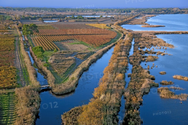 Camargue landscape, Bouches-du-Rhône