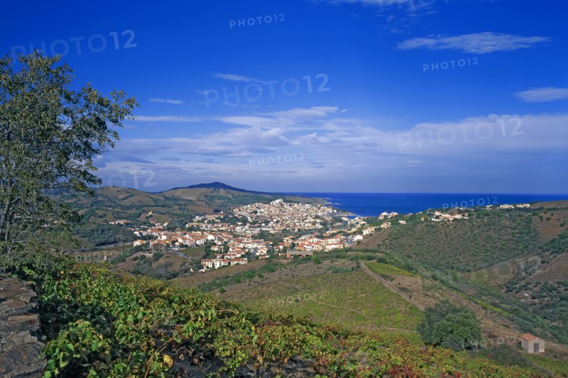 Banyuls-sur-Mer, Pyrénées-Orientales