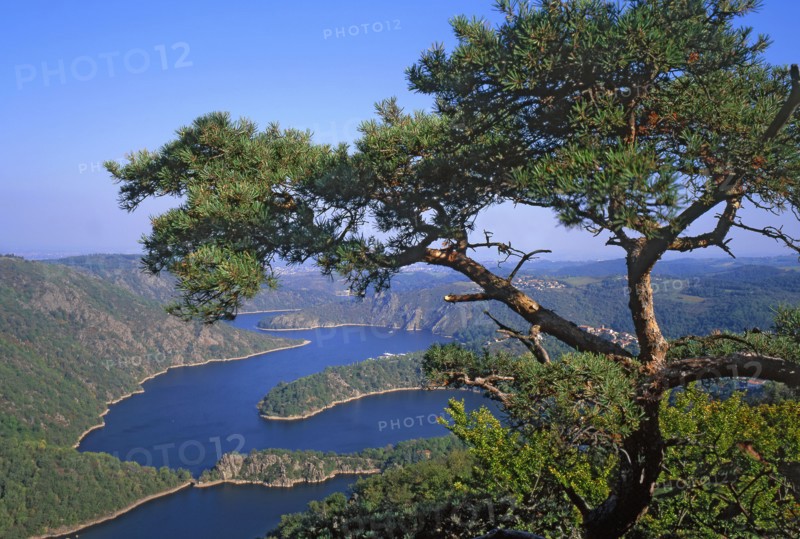 Landscape of the Loire Gorges, Loire