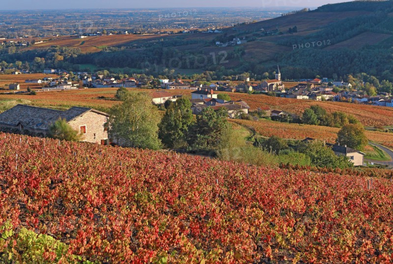 Juliénas, Rhône
