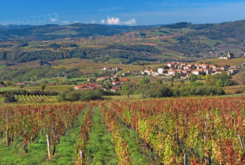 Oingt, Rhône