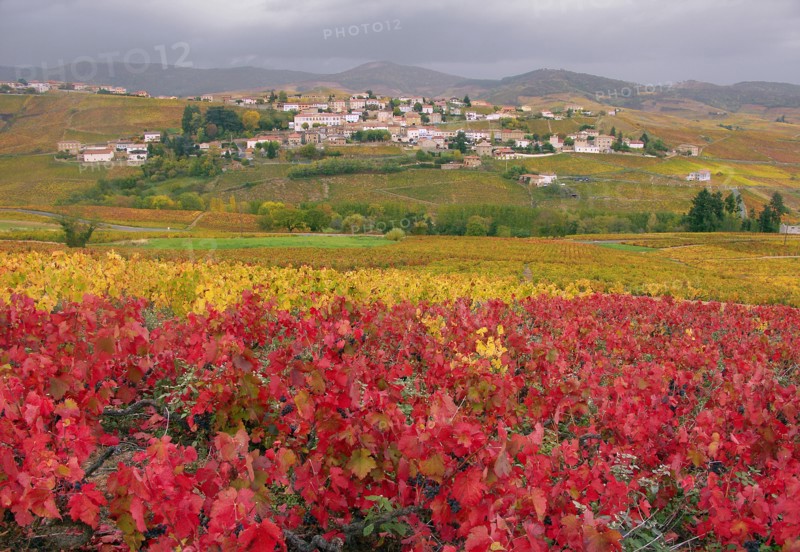 Vaux-en-Beaujolais, Rhône