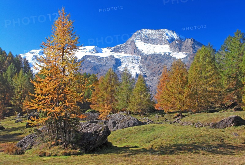 Parc National de la Vanoise, Savoie