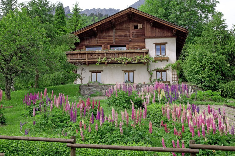 Chalet in bloom, Haute-Savoie