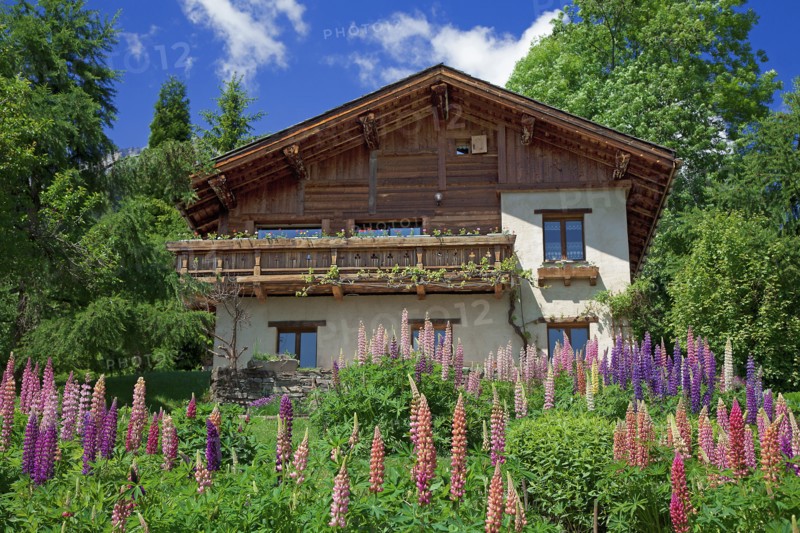 Chalet in bloom, Haute-Savoie