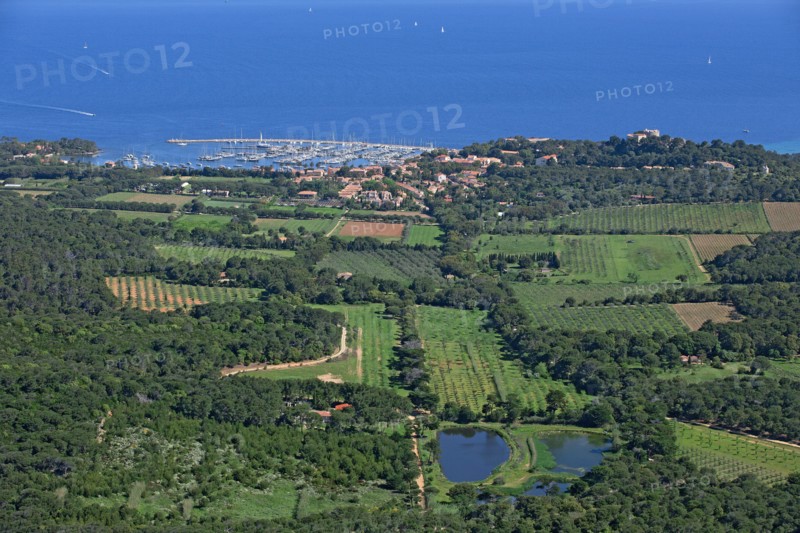 Ile de Porquerolles, Var