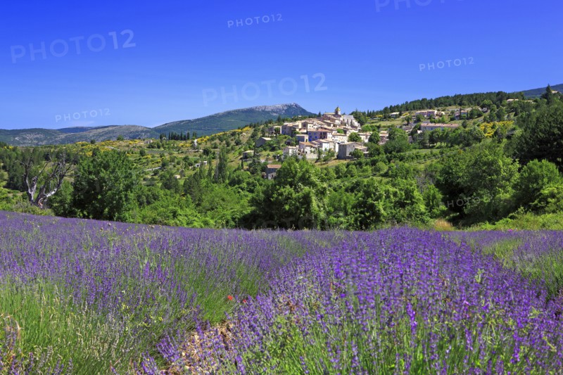 Aurel, Vaucluse