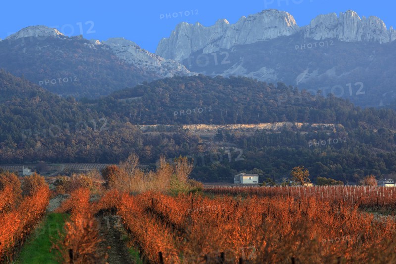 The Dentelles de Montmirail, Vaucluse
