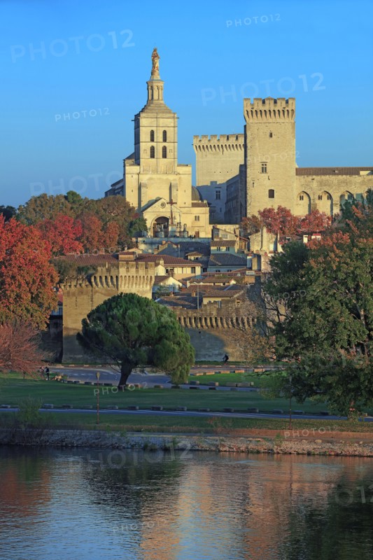 Avignon, Vaucluse