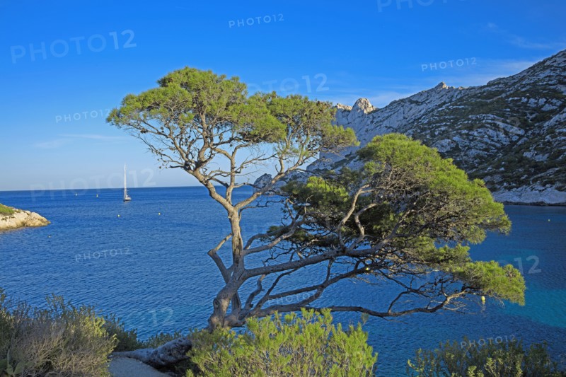 Marseille, Calanque de Sormiou, Bouches-du-Rhône