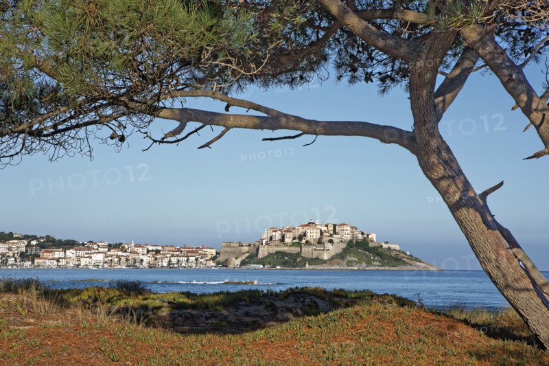 Calvi, Corse