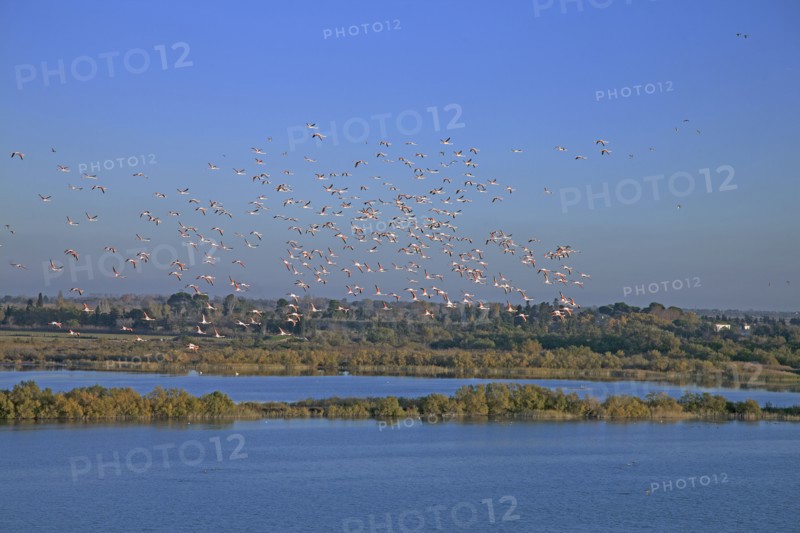 Camargue, Bouches-du-Rhône