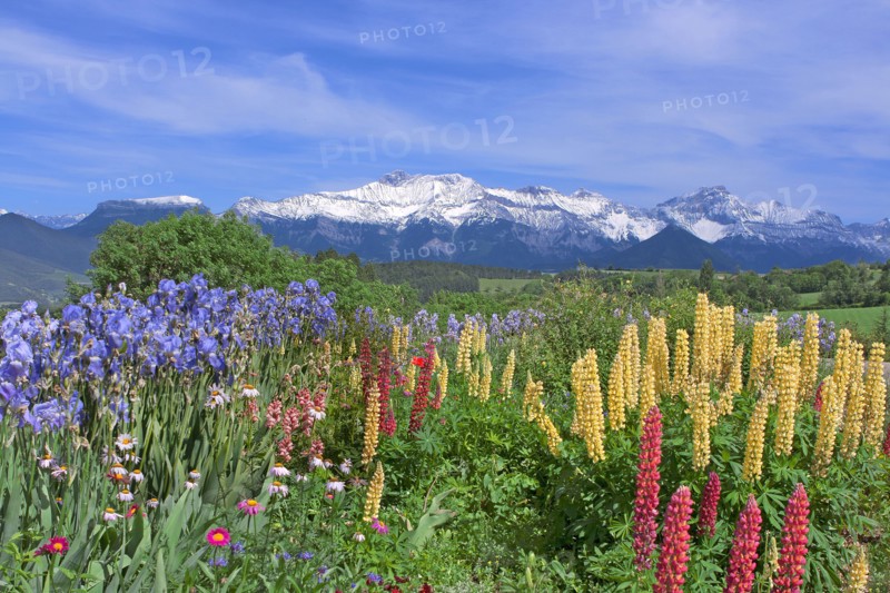 Paysage de montagne, Isère