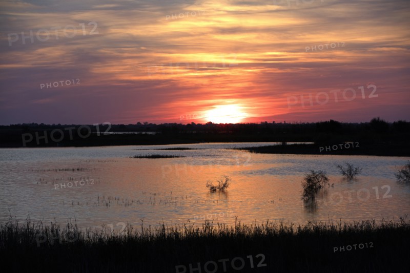 Camargue, Bouches-du-Rhône