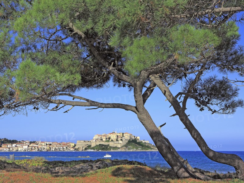 Calvi, Corse