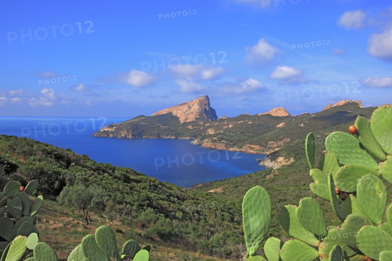 Piana, Corse