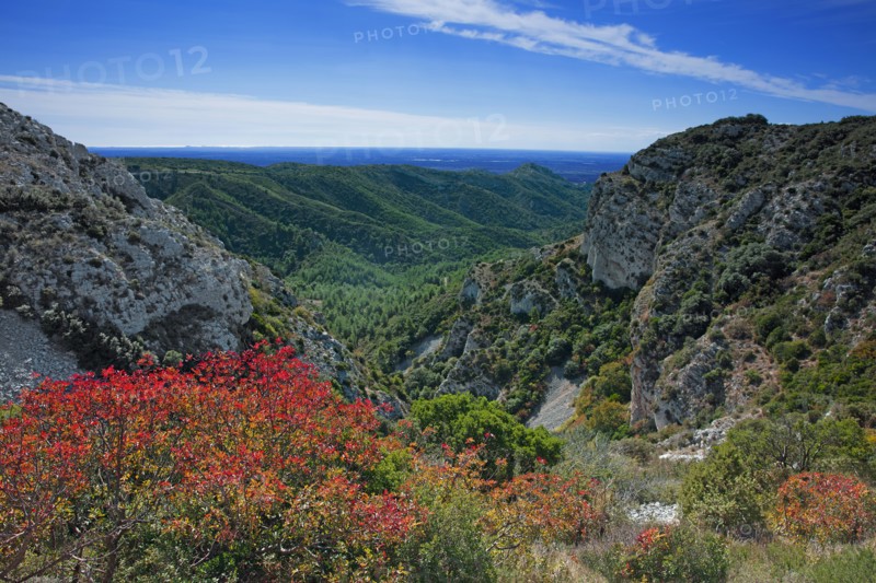 The Alpilles massif, Bouches-du-Rhône