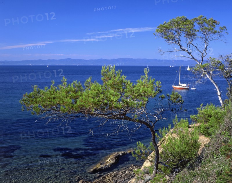 Ile de Porquerolles, Var