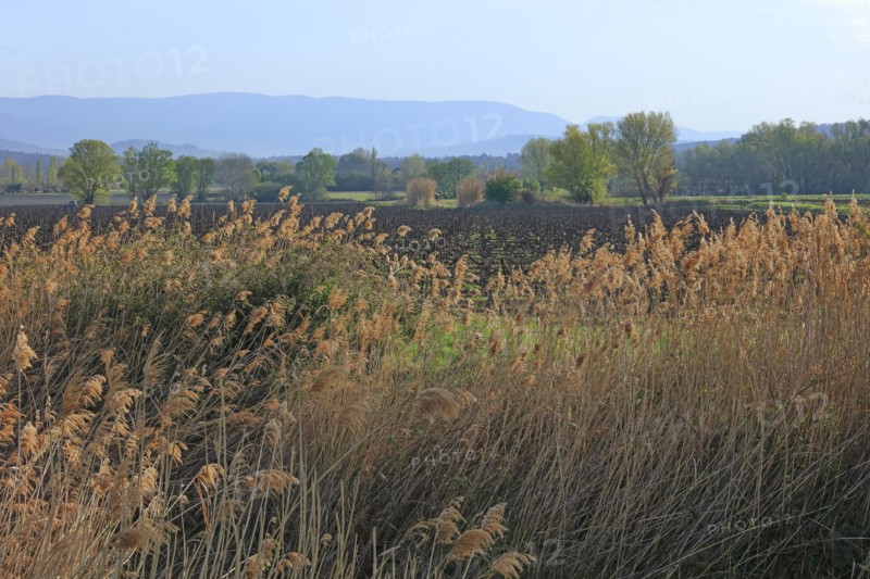 Paysage du Luberon, Vaucluse