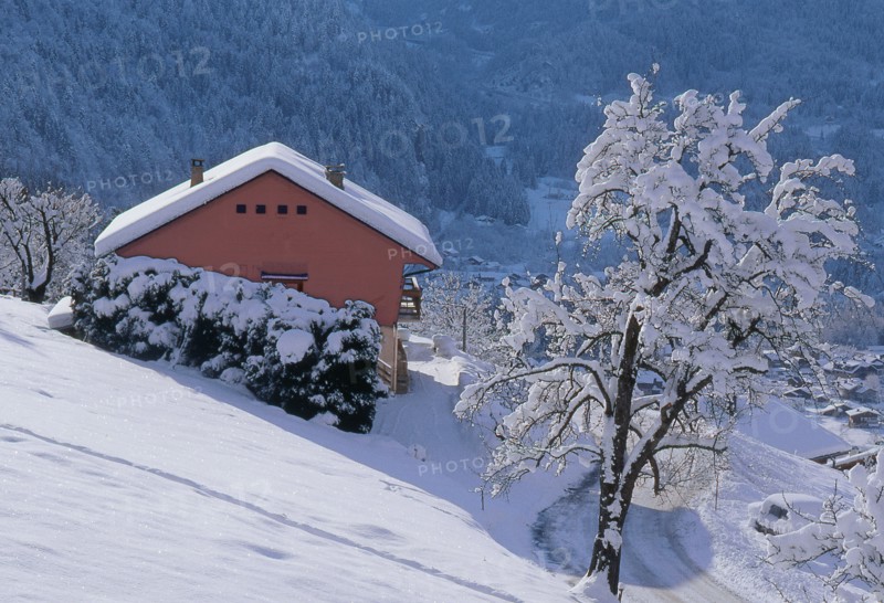 Paysage hivernal, Haute-Savoie