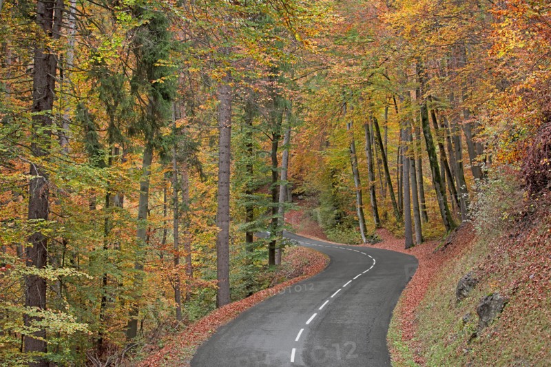 Route avec virage dans forêt en automne, Haute-Savoie