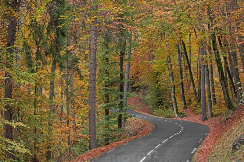 Route avec virage dans forêt en automne, Haute-Savoie