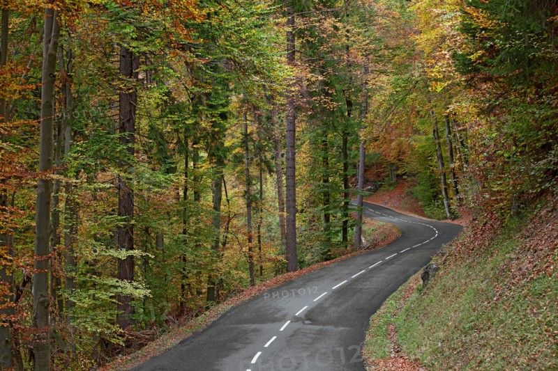 Route avec virage dans forêt en automne, Haute-Savoie