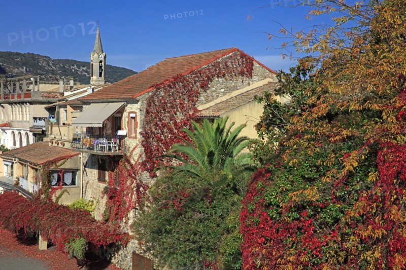 Saint-Martin-d'Ardèche, Ardèche
