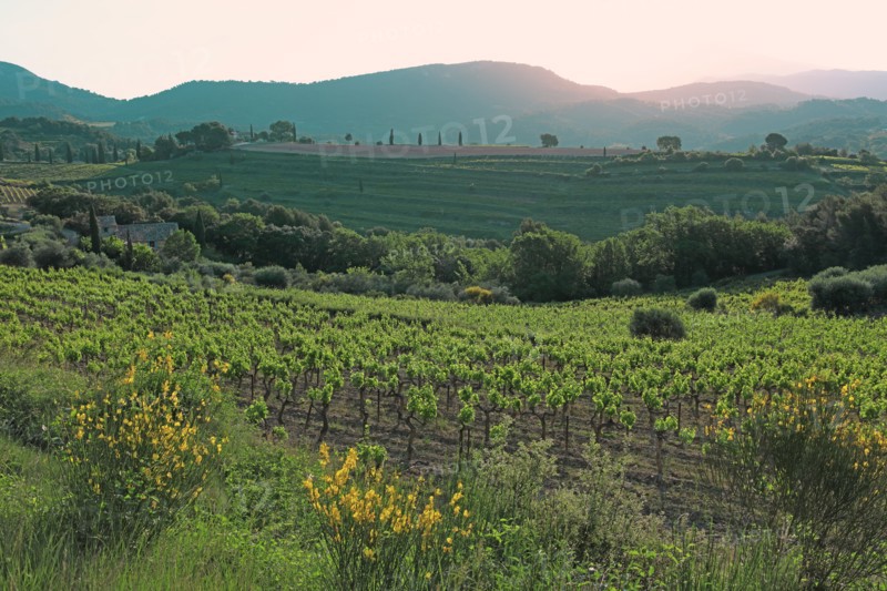 Gigondas, les Dentelles de Montmirail, Vaucluse