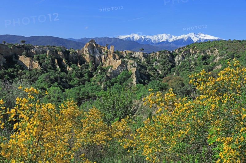 Ille-sur-Têt, Pyrénées-Orientales