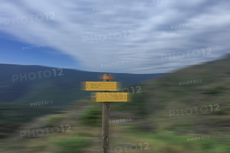 Parc National des Cévennes, massif de l'Aigoual, Gard
