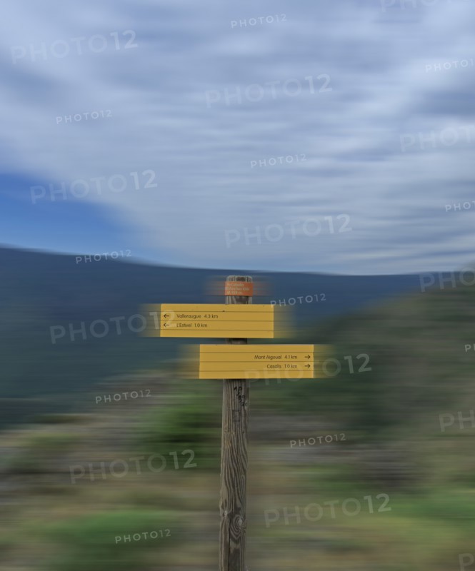 Parc National des Cévennes, massif de l'Aigoual, Gard