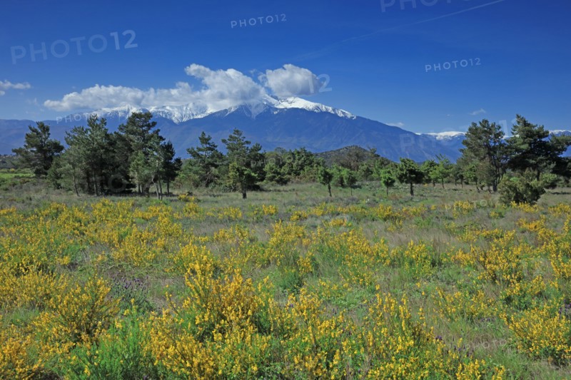 Massif du Canigou, Pyrénées-Orientales
