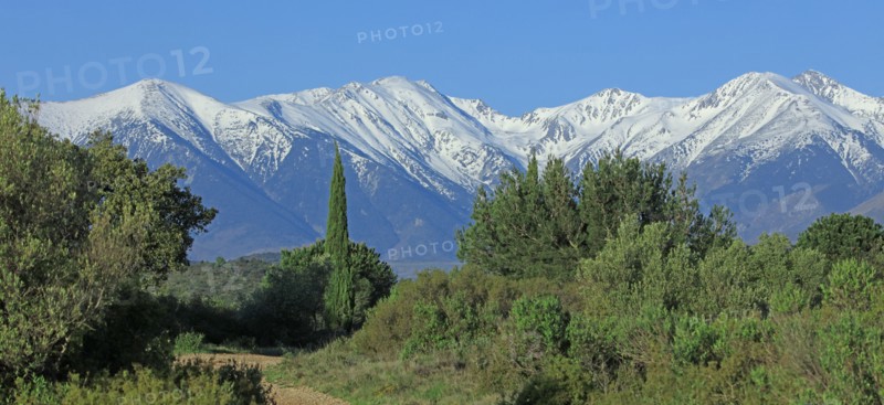 Massif du Canigou, Pyrénées-Orientales