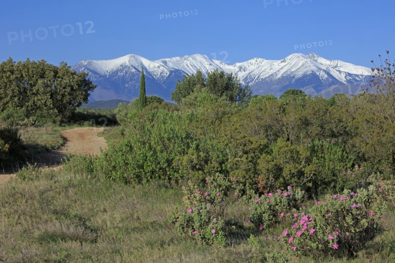 Massif du Canigou, Pyrénées-Orientales