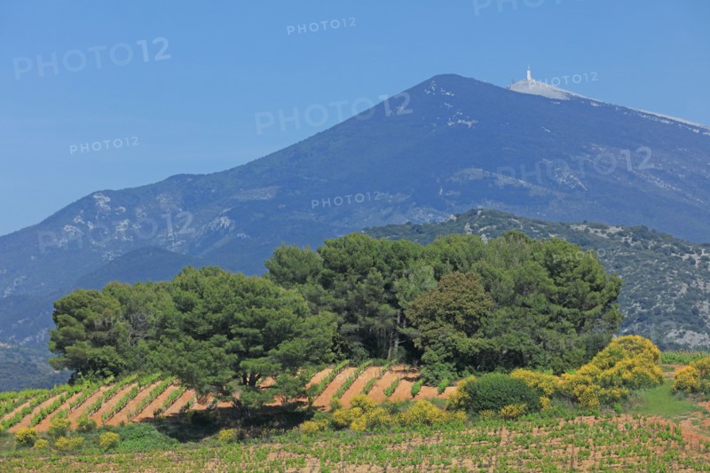 Beaumes-de-Venise, Vaucluse