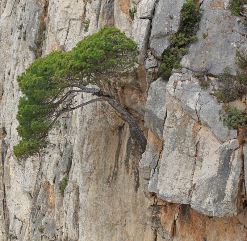 Calanques de Marseille, Bouches-du-Rhône