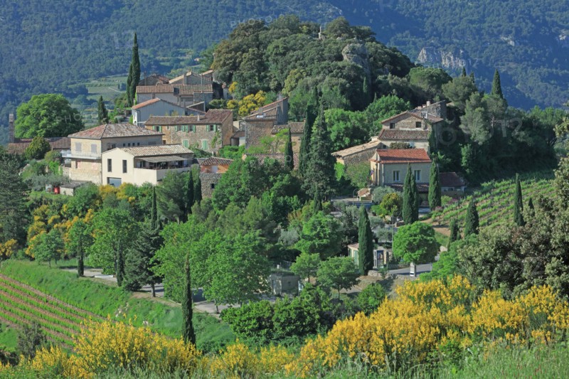 Suzette, Vaucluse