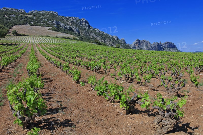 Beaumes-de-Venise, Vaucluse