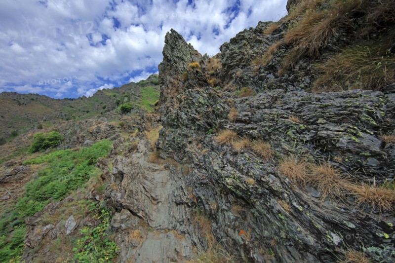 Mont Aigoual, Gard