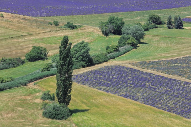 Sault, Vaucluse