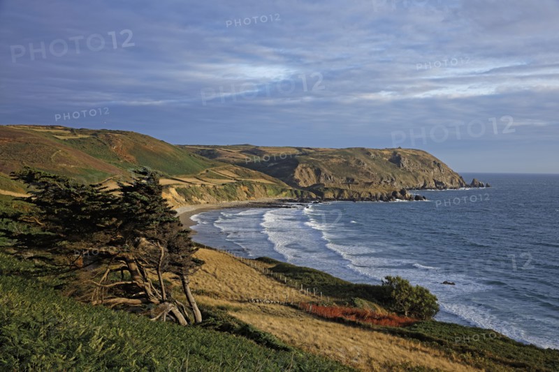 Baie d'Ecalgrain, Manche