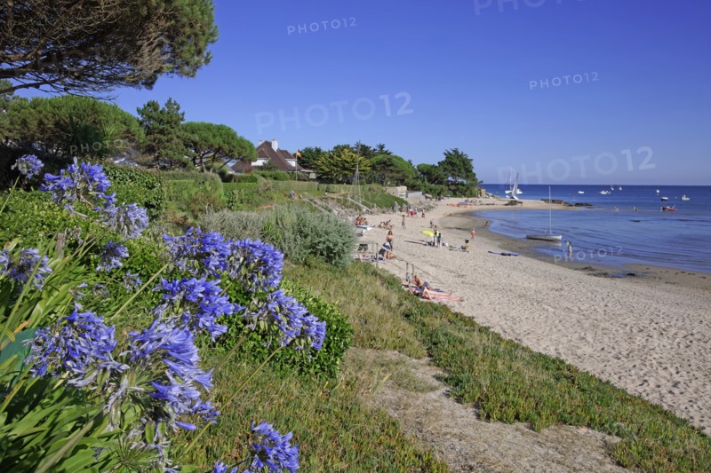 Estuaire de la Saire, Manche