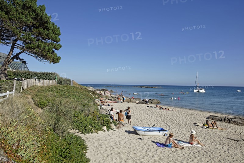 Saire estuary, Manche