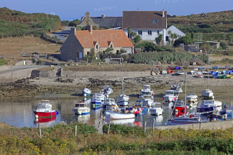 Fermanville, le cap, Manche