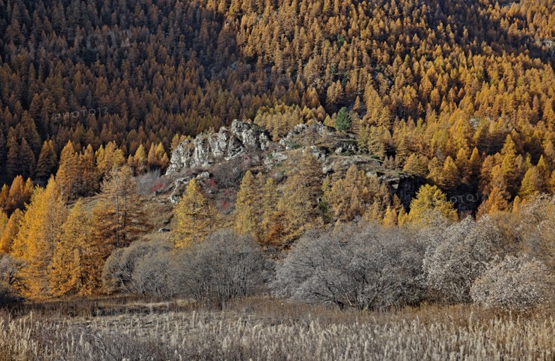 Névache en automne, Vallée de la Clarée, Hautes-Alpes