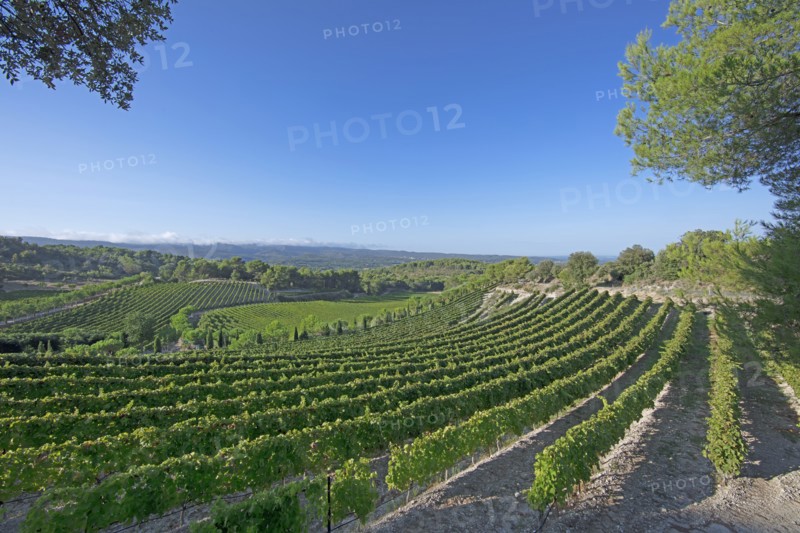 Malemort-du-Comtat, Vaucluse
