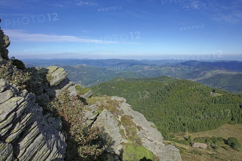 Sommet du Mont Gerbier-de-Jonc, Mont Gerbier-de-Jonc, dôme volcanique, Ardèche