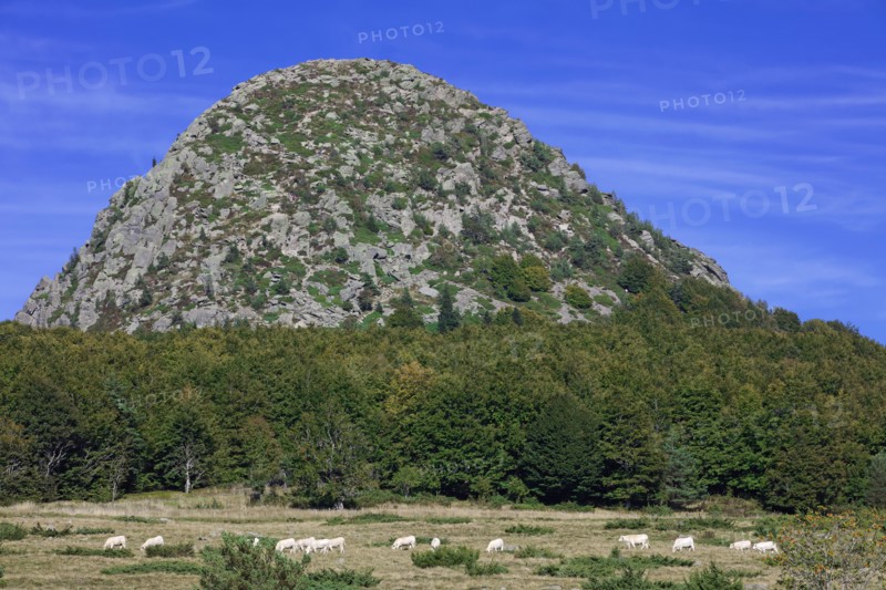 The Mont Gerbier de Jonc, Ardèche
