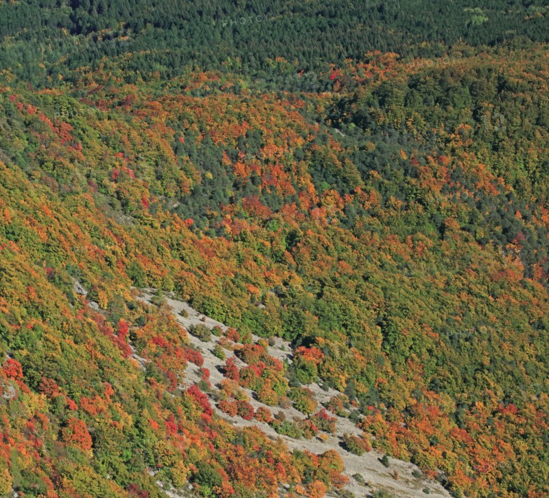 Saou, Drôme